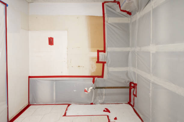 Best Biohazard Mold Removal  in Victoria, TX