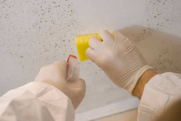 Best Dehumidification Services  in Victoria, TX