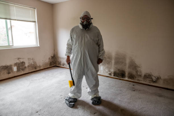 Best Emergency Mold Remediation  in Victoria, TX